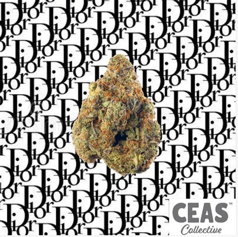 ceas dior|dior cannabis strain.